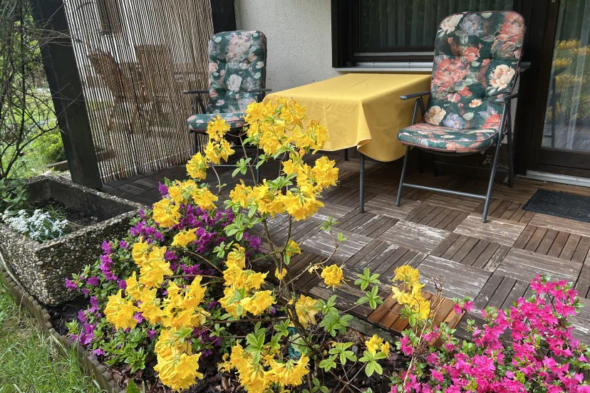 Apartment A3 Terrasse