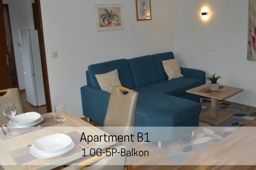 Apartment B1