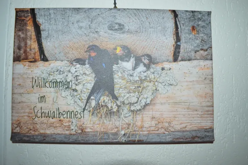 Apartment schwalbennest