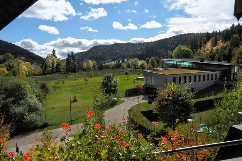 Apartment schwalbennest