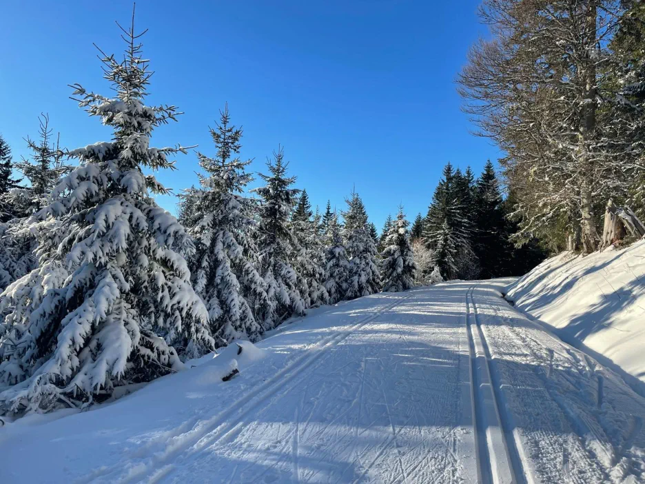 Loipe Menzenschwander Spur